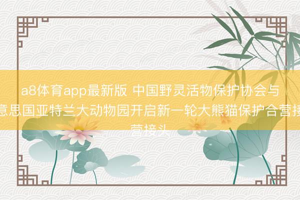 a8体育app最新版 中国野灵活物保护协会与好意思国亚特兰大动物园开启新一轮大熊猫保护合营接头
