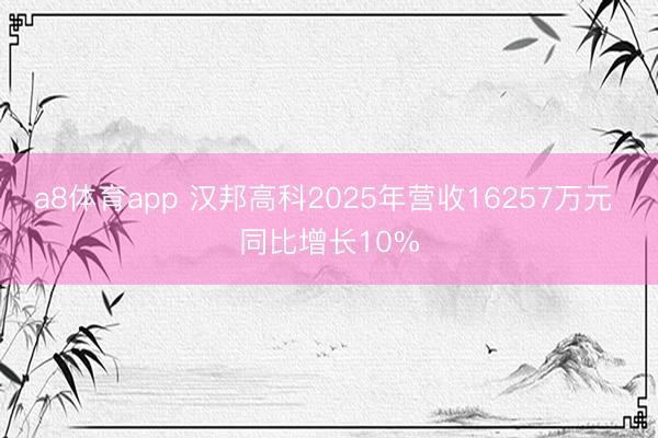 a8体育app 汉邦高科2025年营收16257万元 同比增长10%