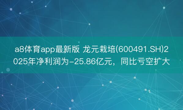 a8体育app最新版 龙元栽培(600491.SH)2025年净利润为-25.86亿元，同比亏空扩大